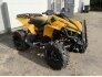 2009 Can-Am Renegade 500 for sale 201190384